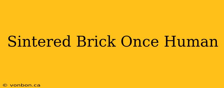 Sintered Brick Once Human