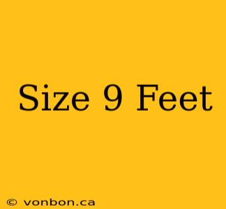 Size 9 Feet