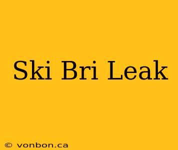 Ski Bri Leak