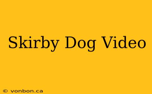 Skirby Dog Video