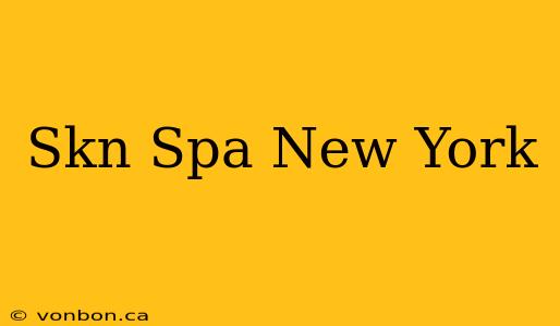 Skn Spa New York