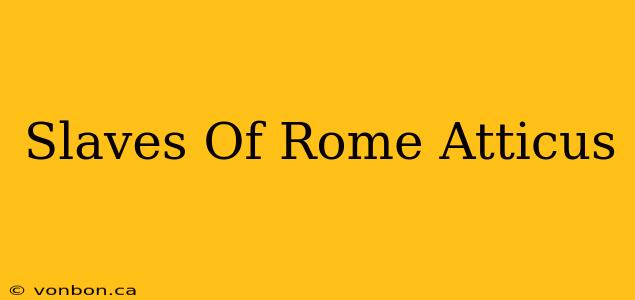 Slaves Of Rome Atticus