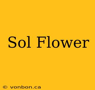 Sol Flower