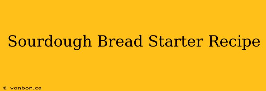 Sourdough Bread Starter Recipe