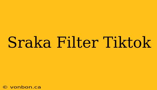 Sraka Filter Tiktok