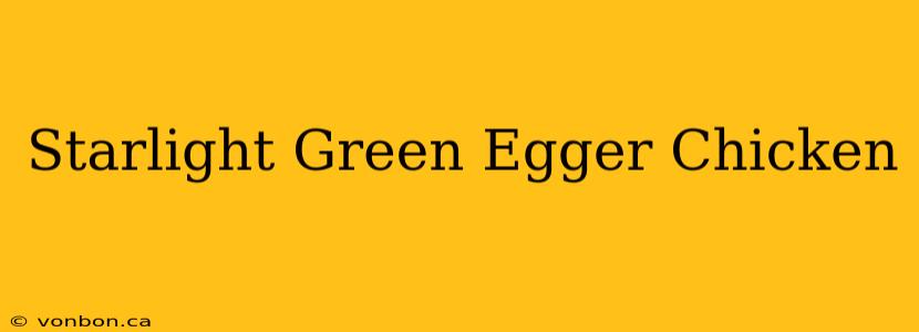 Starlight Green Egger Chicken