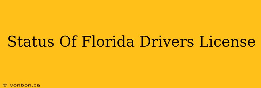 Status Of Florida Drivers License