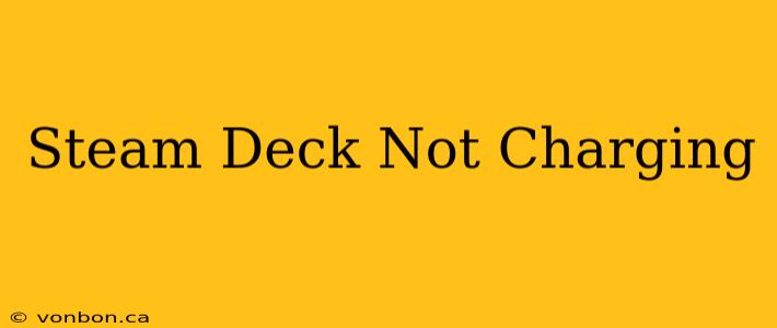 Steam Deck Not Charging