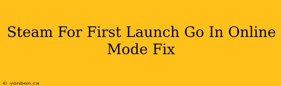 Steam For First Launch Go In Online Mode Fix