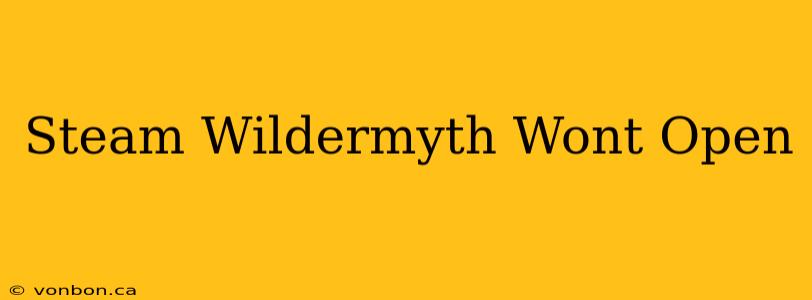 Steam Wildermyth Wont Open