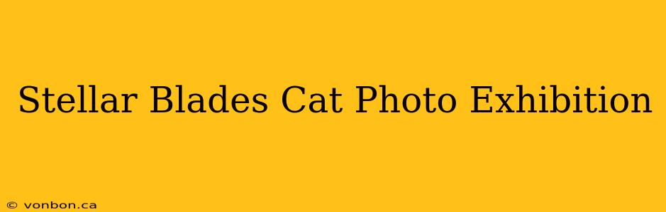 Stellar Blades Cat Photo Exhibition