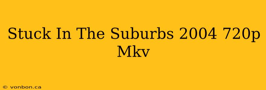 Stuck In The Suburbs 2004 720p Mkv