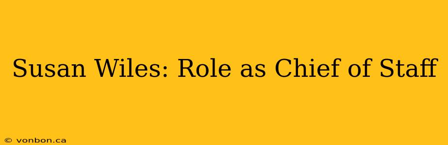 Susan Wiles: Role as Chief of Staff
