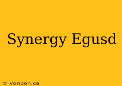 Synergy Egusd