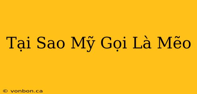 Tại Sao Mỹ Gọi Là Mẽo