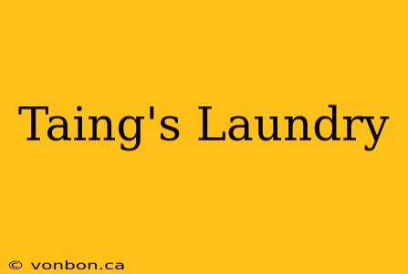 Taing's Laundry