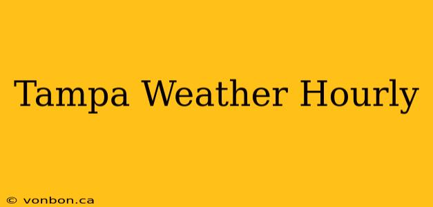 Tampa Weather Hourly