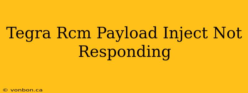 Tegra Rcm Payload Inject Not Responding