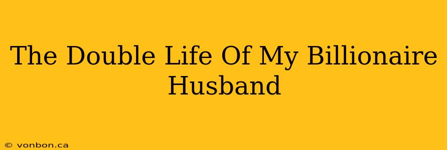 The Double Life Of My Billionaire Husband