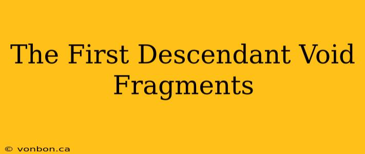 The First Descendant Void Fragments