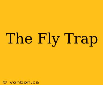 The Fly Trap