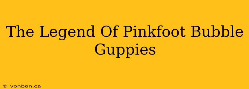 The Legend Of Pinkfoot Bubble Guppies