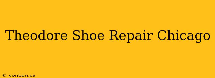 Theodore Shoe Repair Chicago