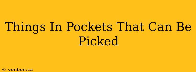 Things In Pockets That Can Be Picked