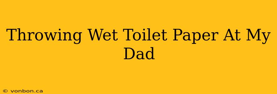 Throwing Wet Toilet Paper At My Dad