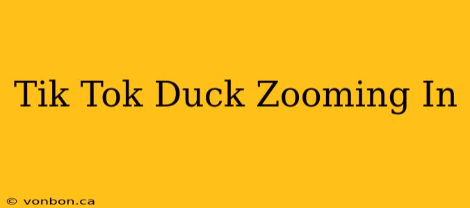 Tik Tok Duck Zooming In