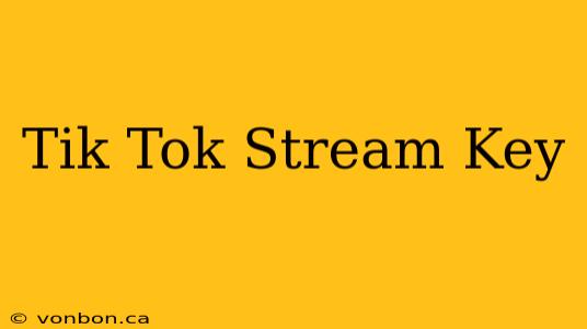 Tik Tok Stream Key