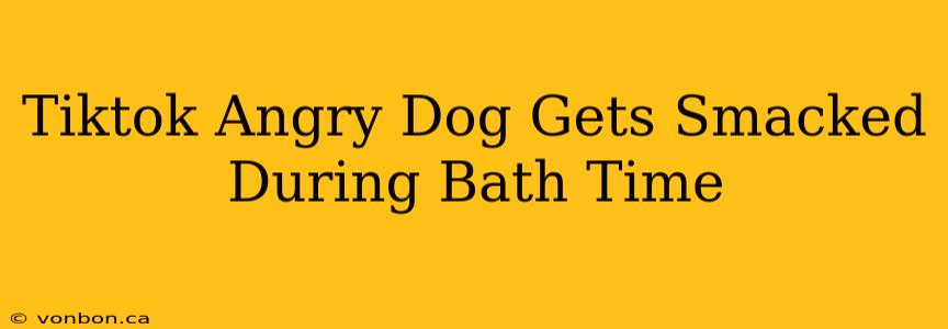 Tiktok Angry Dog Gets Smacked During Bath Time