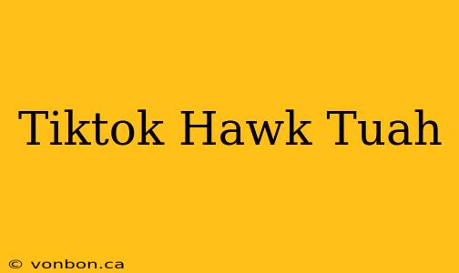 Tiktok Hawk Tuah