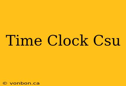 Time Clock Csu