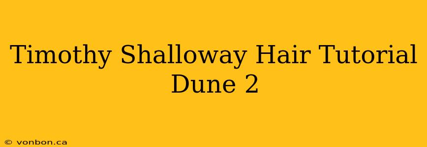 Timothy Shalloway Hair Tutorial Dune 2