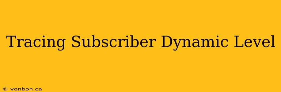 Tracing Subscriber Dynamic Level