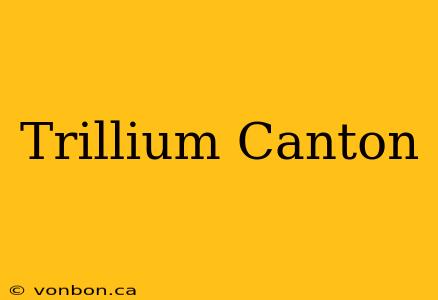 Trillium Canton