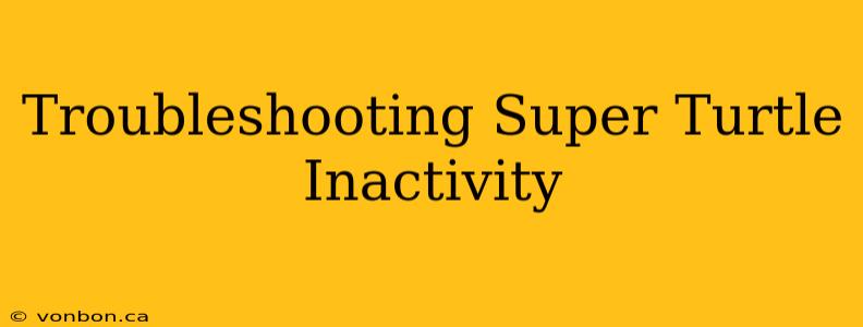 Troubleshooting Super Turtle Inactivity