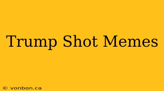 Trump Shot Memes