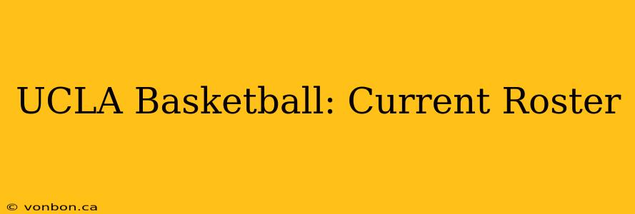 UCLA Basketball: Current Roster