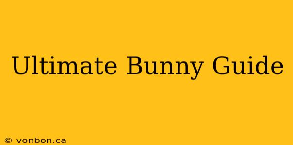 Ultimate Bunny Guide