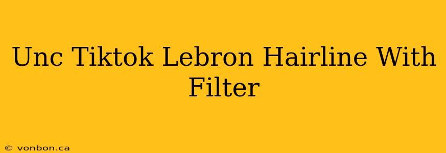 Unc Tiktok Lebron Hairline With Filter