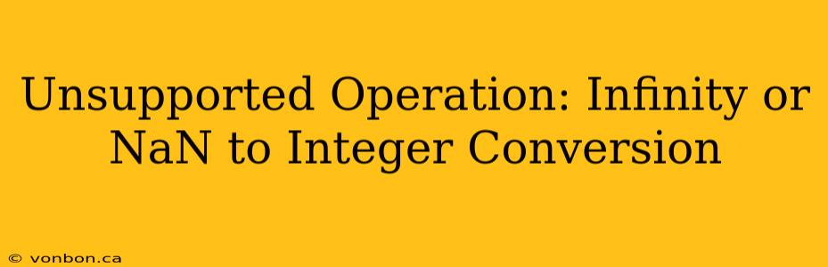 Unsupported Operation: Infinity or NaN to Integer Conversion