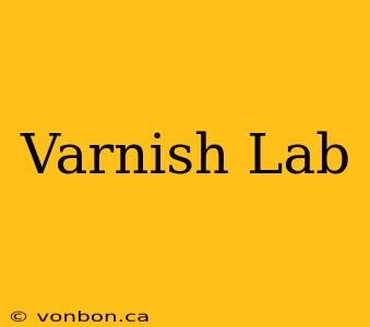 Varnish Lab