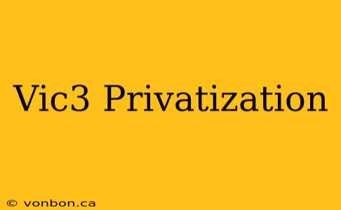 Vic3 Privatization