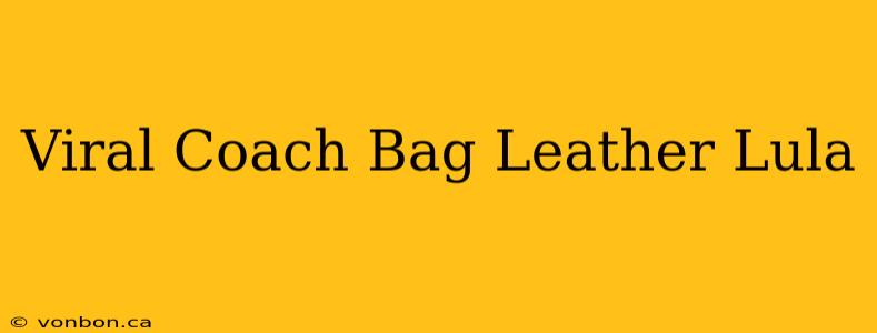 Viral Coach Bag Leather Lula