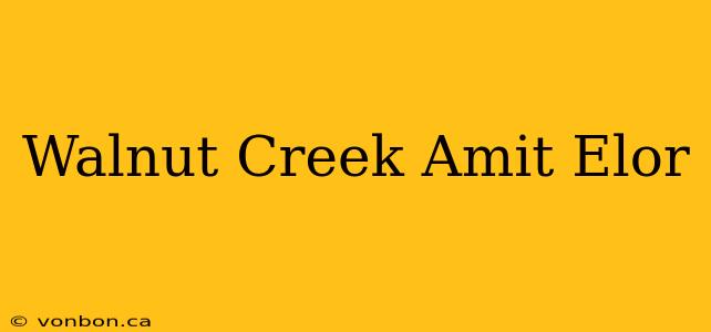 Walnut Creek Amit Elor