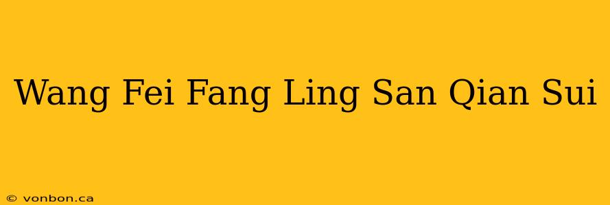 Wang Fei Fang Ling San Qian Sui