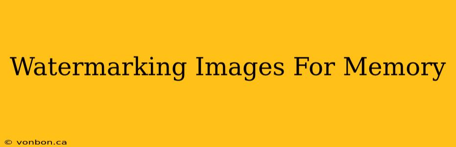 Watermarking Images For Memory