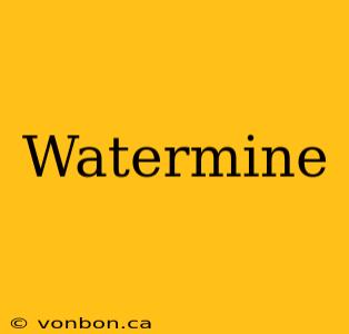 Watermine